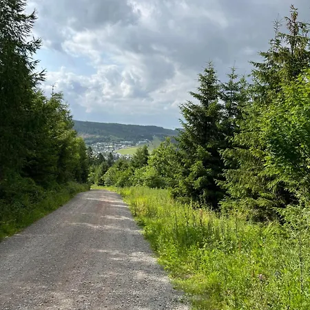 Zum Forsthaus 3* Willingen (Upland)