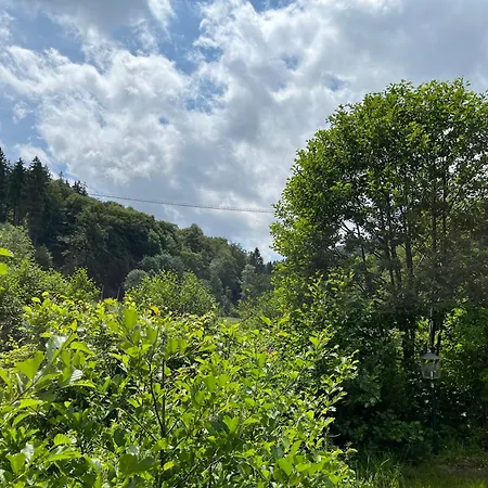 Hotel Zum Forsthaus Willingen (Upland)