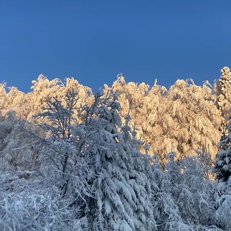 Zum Forsthaus Hotel Willingen (Upland)