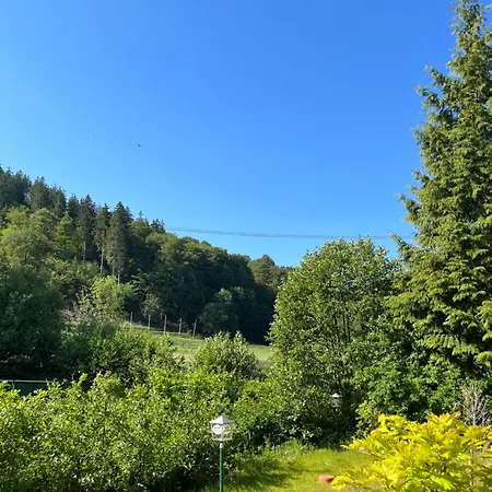 Zum Forsthaus فندق 3*