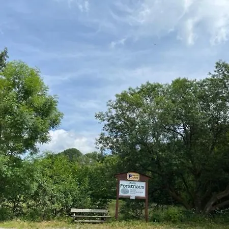 Zum Forsthaus فندق