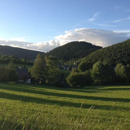 Zum Forsthaus 3* فيلنغن