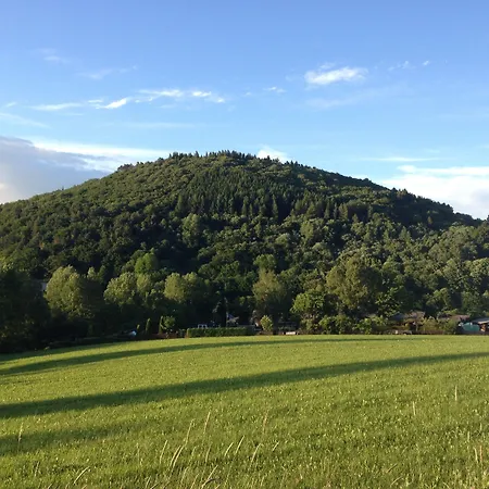 Zum Forsthaus فندق فيلنغن