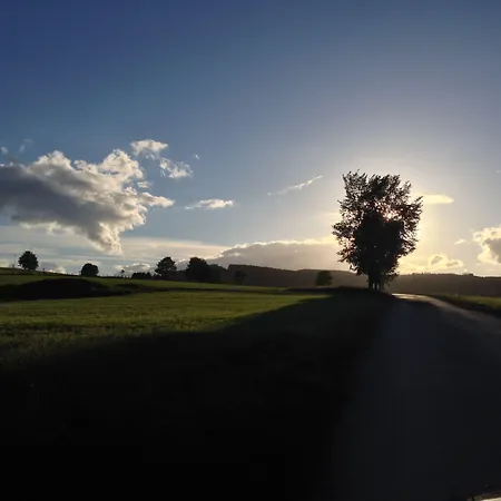 Zum Forsthaus فندق 3*