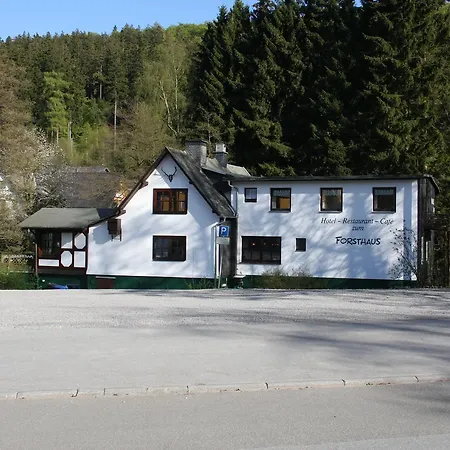 Zum Forsthaus 3* Willingen (Upland)