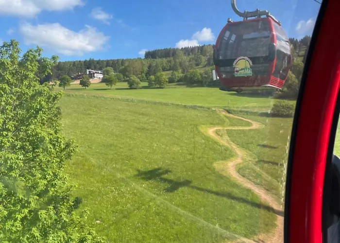 Hotel Zum Forsthaus Willingen (Upland)