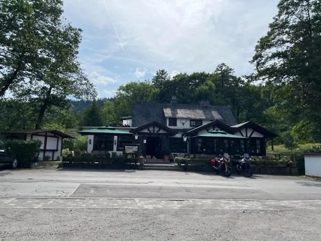 Hotel Zum Forsthaus Willingen (Upland)