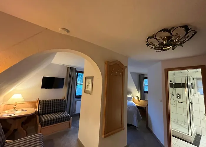 Hotel Zum Forsthaus Willingen (Upland)